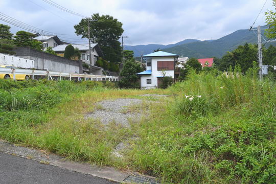 土地の様子