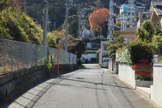 道路の様子
