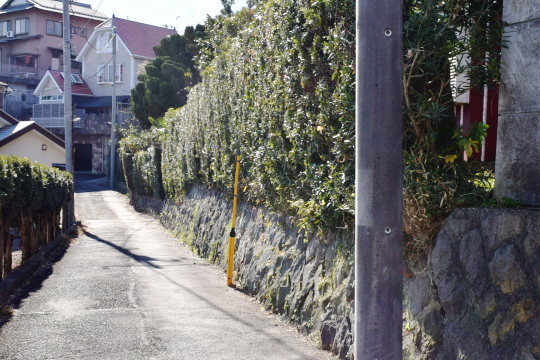 東側道路