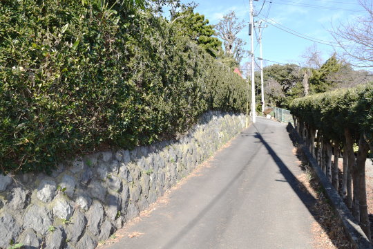 東側道路