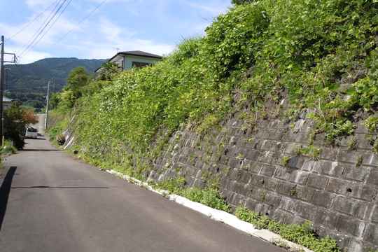 前面道路（西側）