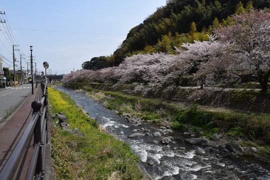 千歳川