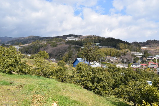 土地の様子