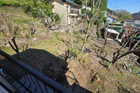 庭