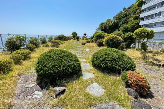 屋上庭園