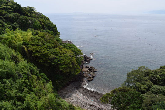 真鶴町真鶴　不動産物件：パークセレノ真鶴アスール