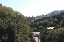 詳細を見る