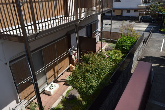 庭